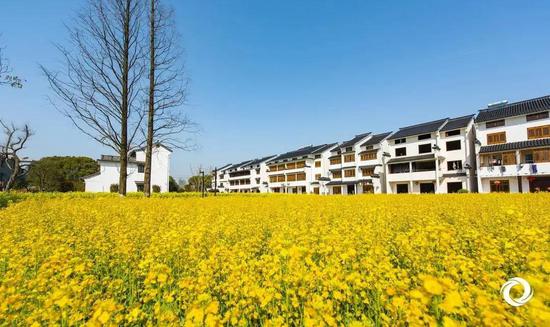 提颜值强气质 桐乡全力争创省美丽乡村示范县