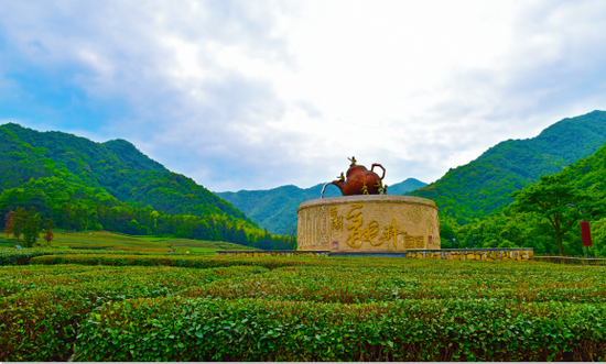 上城埭茶村拥有千亩茶园风光和有丰富负氧离子的西山森林公园