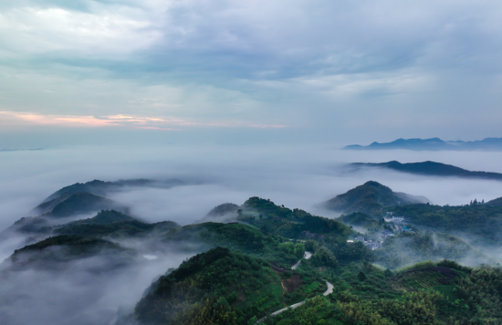 山在云中飘人在画中游余姚鹿亭乡白鹿云海令人陶醉