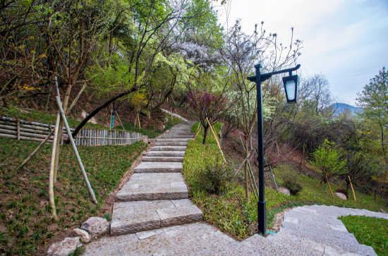 饱含山水景致底蕴的玲珑山公园正焕发出别样的自然韵味,点亮临安城市