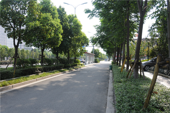 鹿城这些公园 道路上榜啦