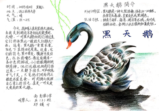 杭州市南肖埠小学保护生物多样性