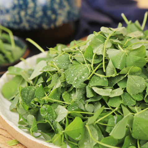 盒马春菜提早两周上市 60种春鲜能从2月吃到5月