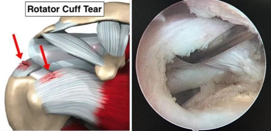 （图片来自网络）