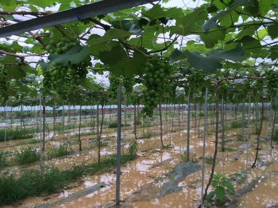 恒丰银行杭州分行落地首笔浙里掌上贷全流程线上业务