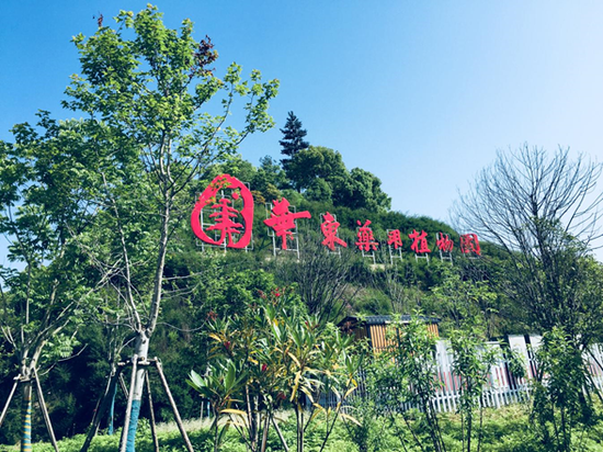 华东药用植物园开园 为丽水"绿谷"画卷再添新亮点