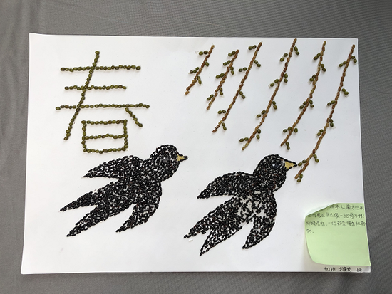 青蓝青华实验小学:小小种子画,创意无限大