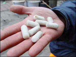 杭州1岁多宝宝误食毒狗丸身亡