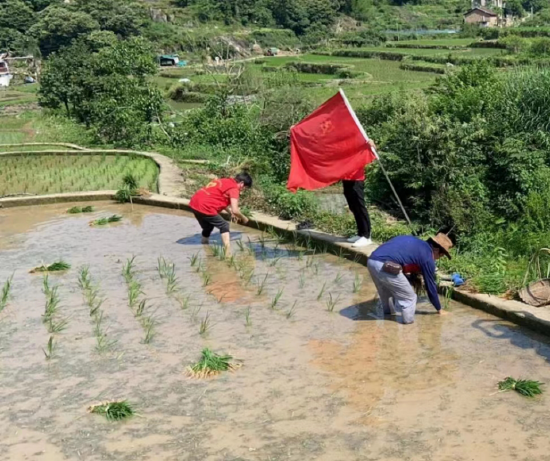 中行丽水青田水南支行党支部联合水南村委党支部开展主题党日活动
