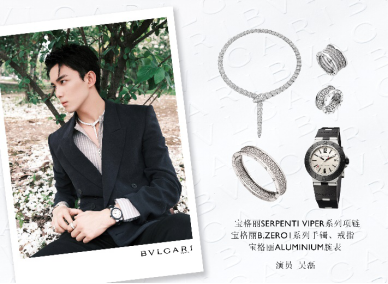 吴磊佩戴宝格丽serpenti viper系列项链,b.